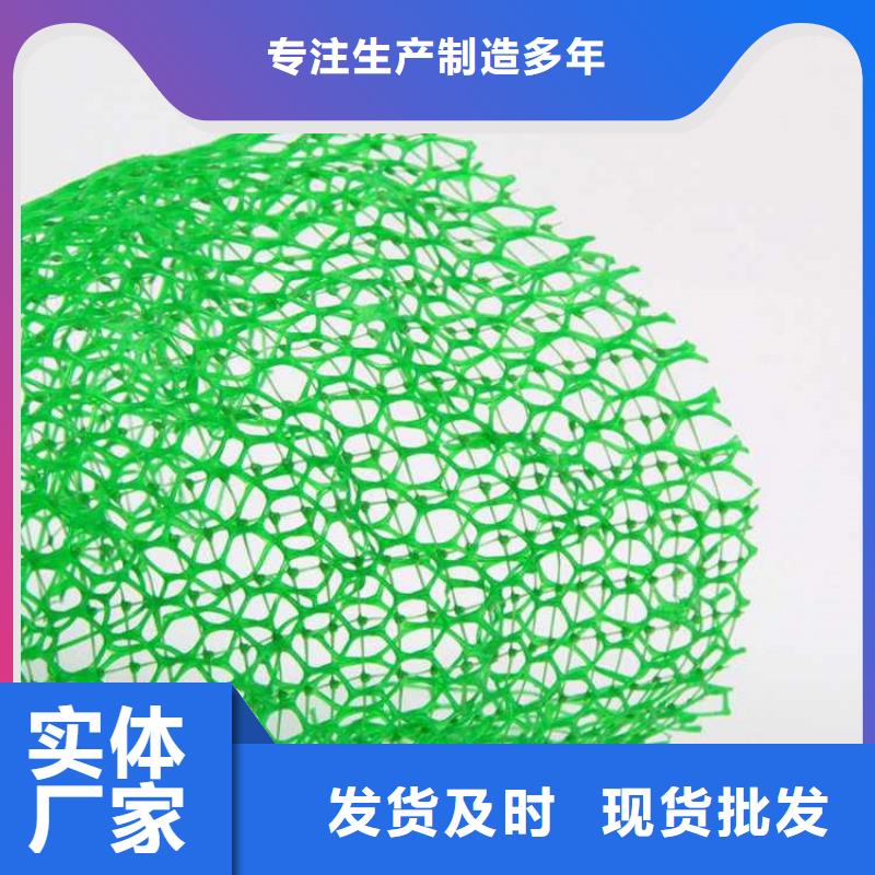 三维植被网土工膜匠心品质库存充足