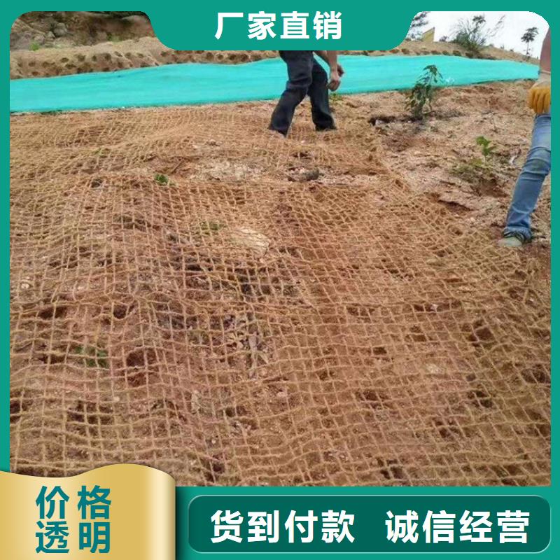 椰丝毯植草格厂家销售同城服务商