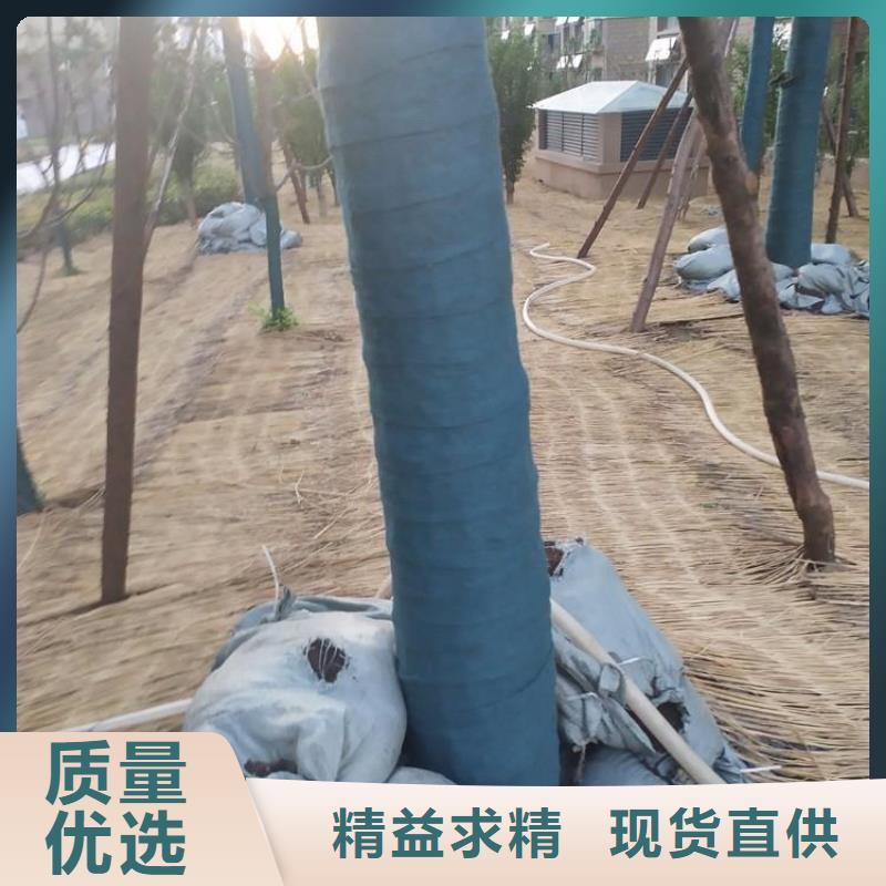 【裹树布土工膜厂诚信经营】源厂定制