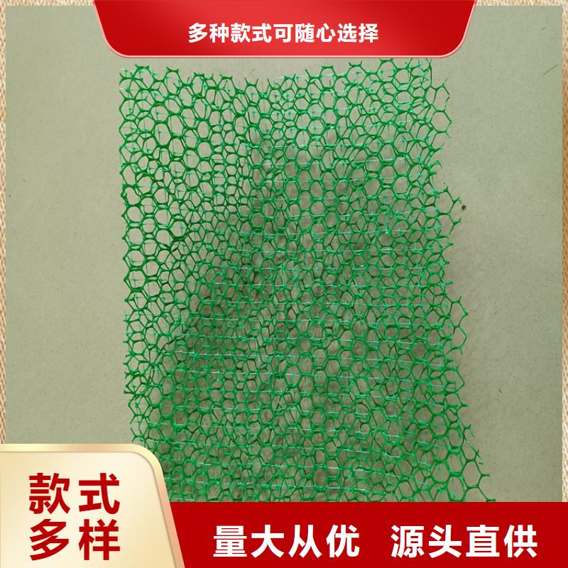 【三维植被网防渗膜精心打造】一手价格