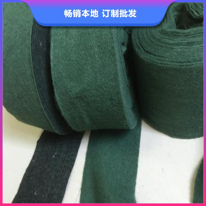 裹树布【双向塑料土工格栅】买的放心安兴用的舒心本地服务商