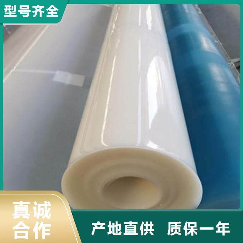 防水板土工膜工厂直营当地厂家