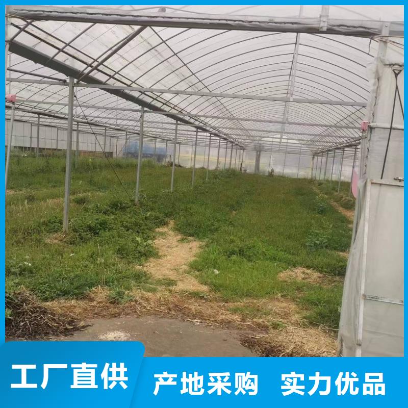 嵊泗县草莓大棚薄膜【修饰词品质无所畏惧