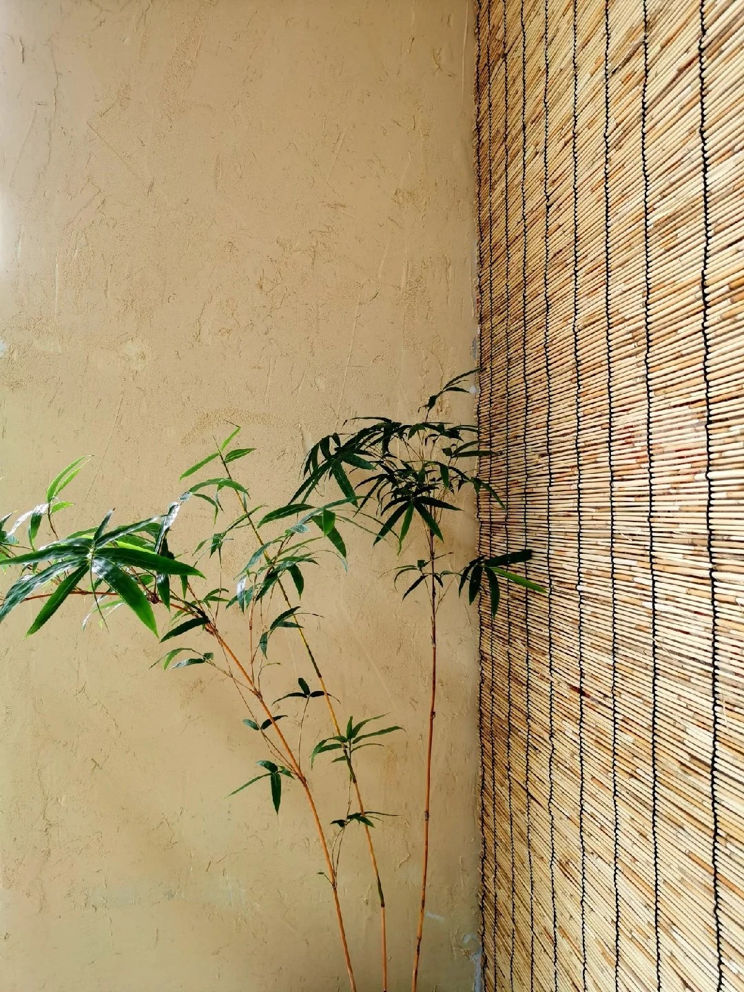 仿泥巴墙稻草漆专业施工，源头工厂