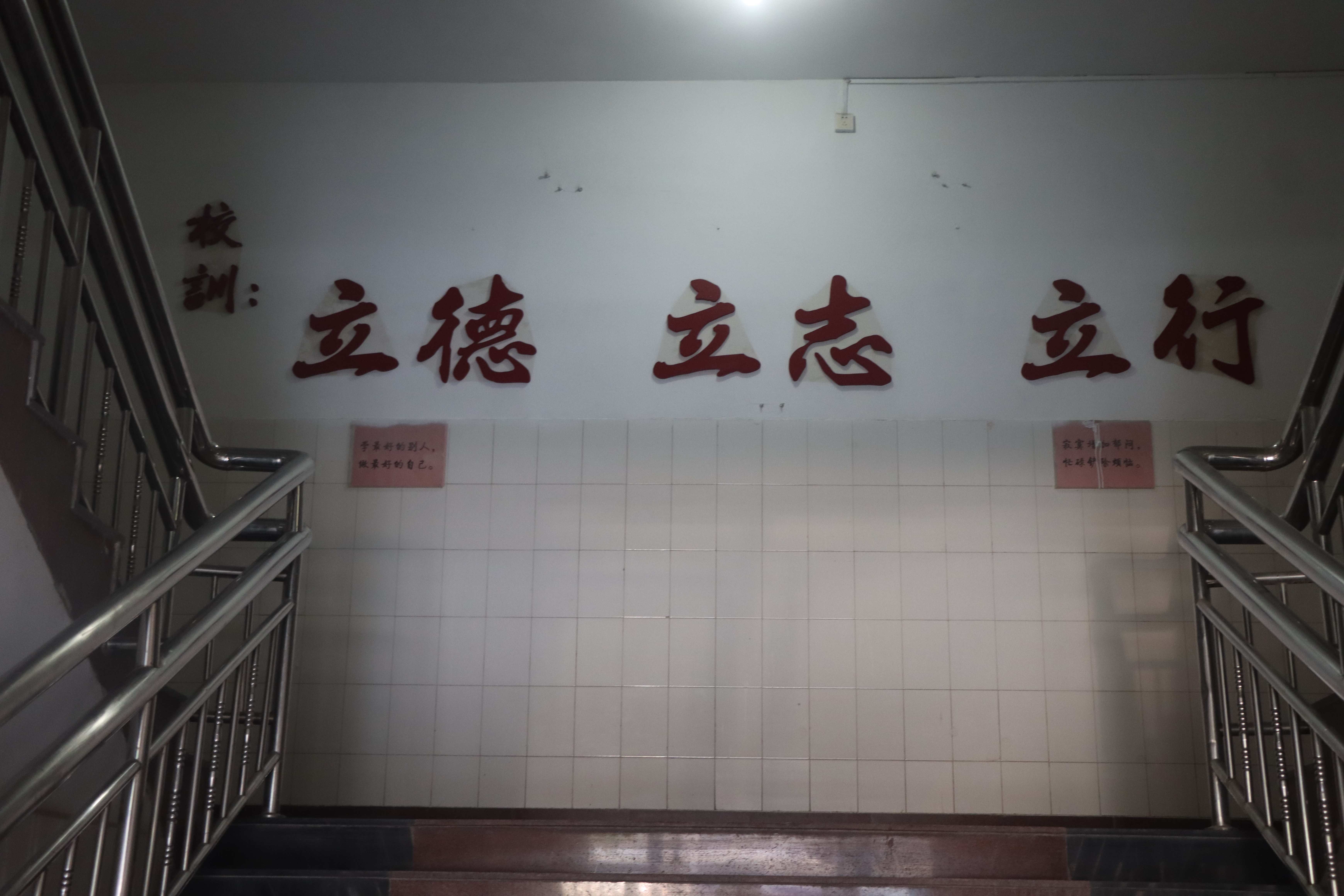 滨州艺考文化课校企共建本地供应商
