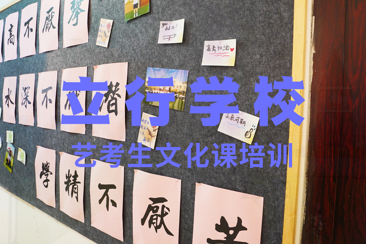 艺考文化课辅导班高考补习班学真技术
