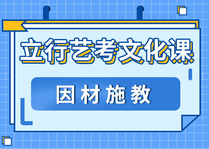 艺考生文化课高考全日制培训班学真技术